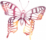 PIF-sommerfulgl-farve-transp
